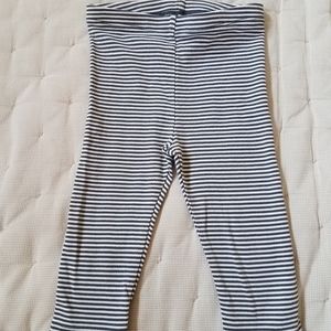 Tea collection capri leggings